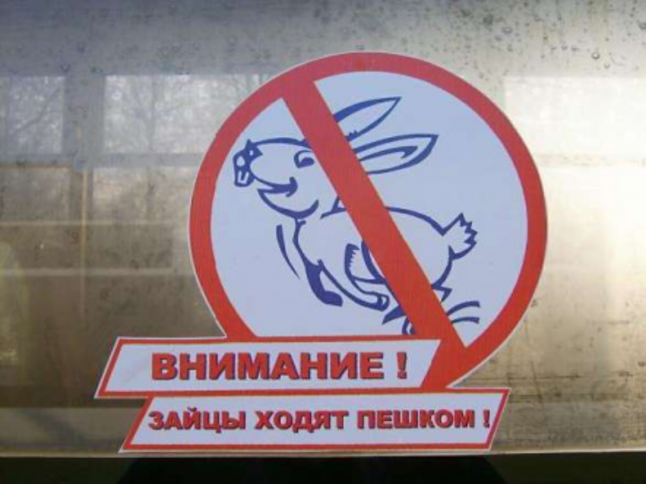 фото с сайта mixnews.lv
