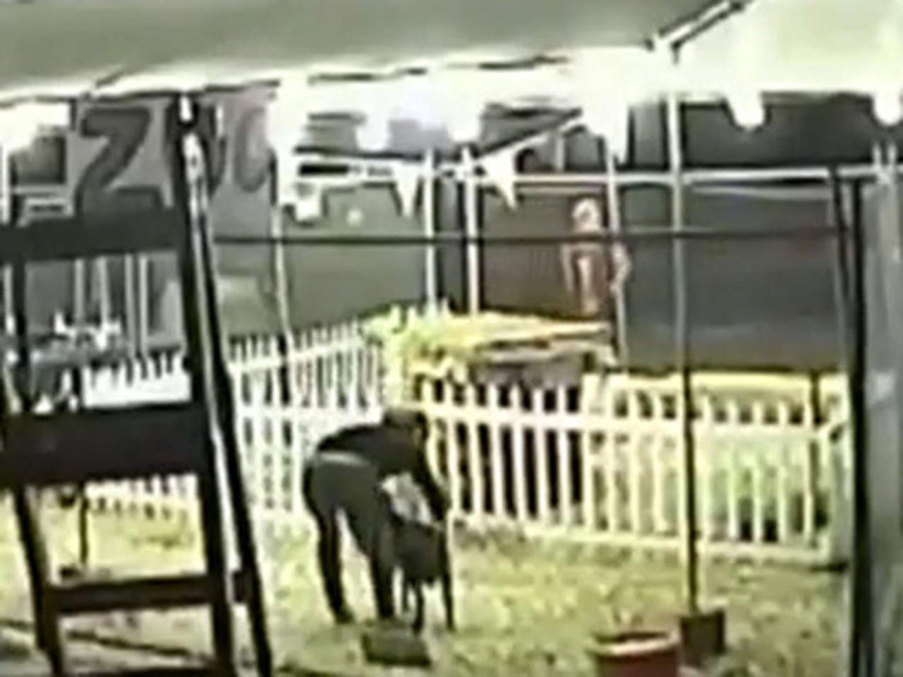 кадр видео