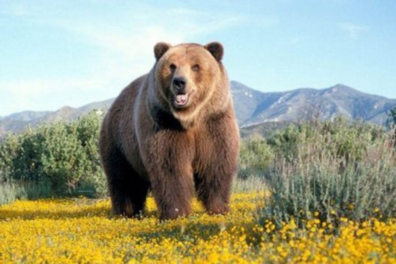 фото ribalka-i-ohota.ru
