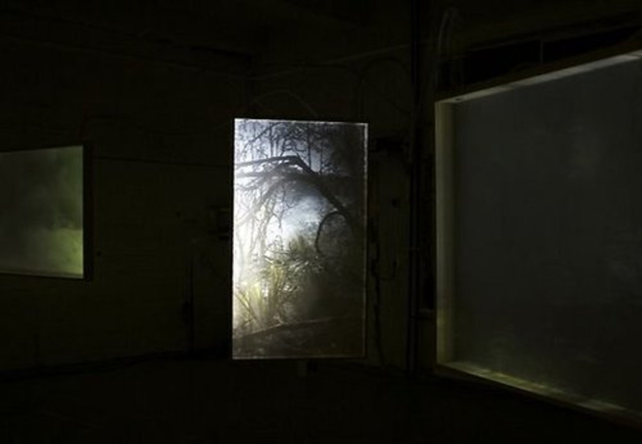 foto Kate Krolle, Atis Jēkabsons "Patiesība ir vienkārša"