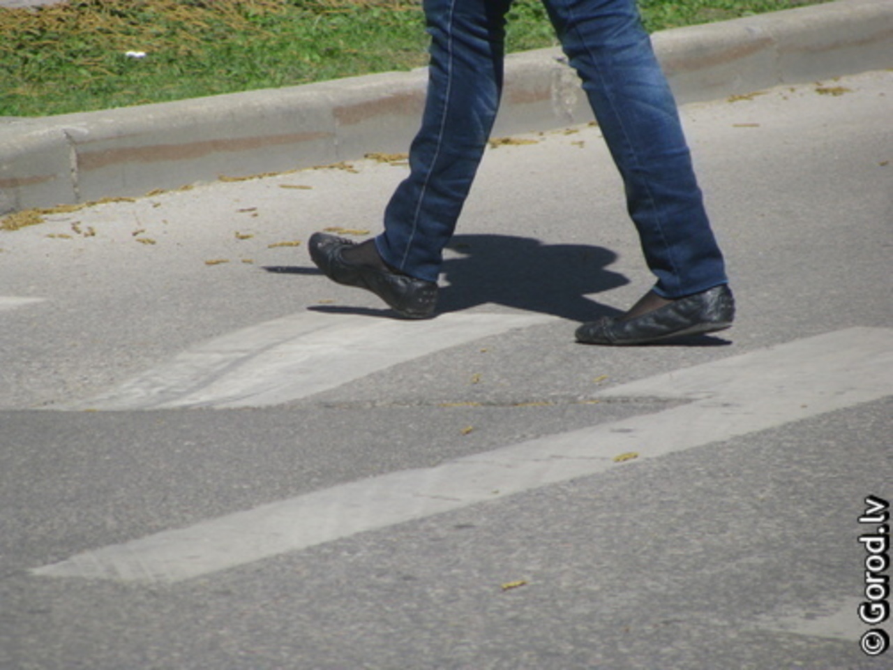 фото gorod.lv