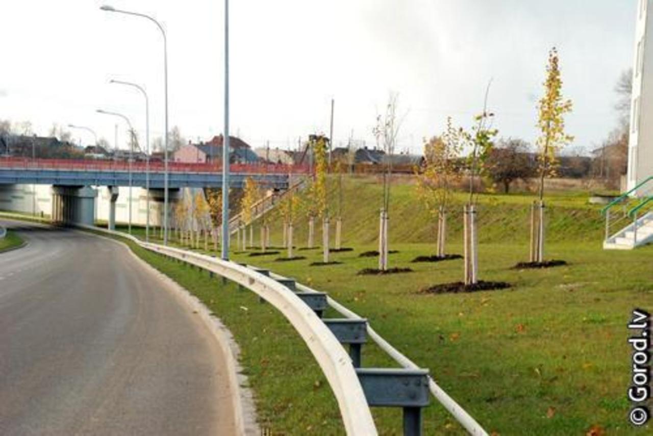 фото gorod.lv
