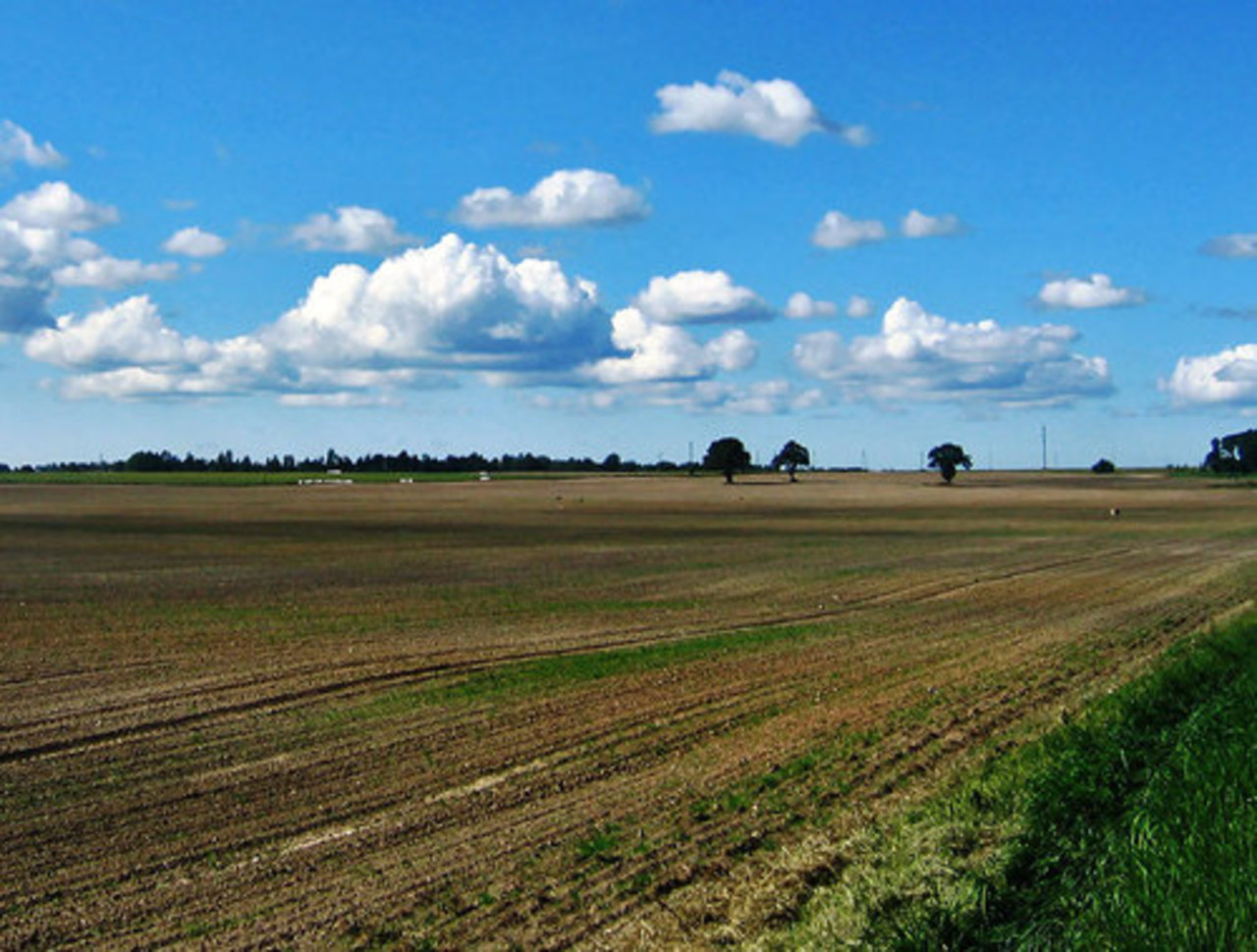 foto dziedava.lv