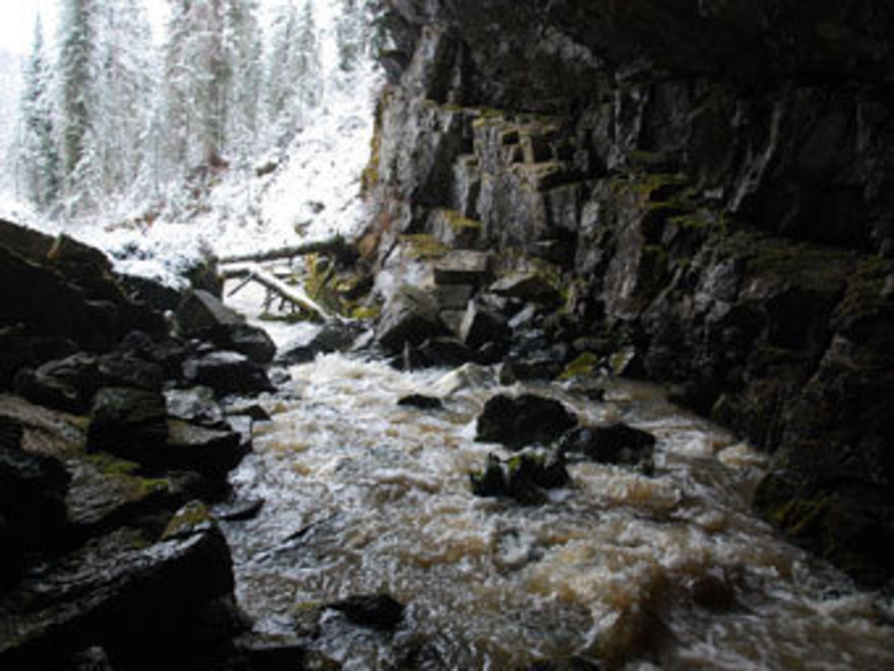 фото lenta.ru