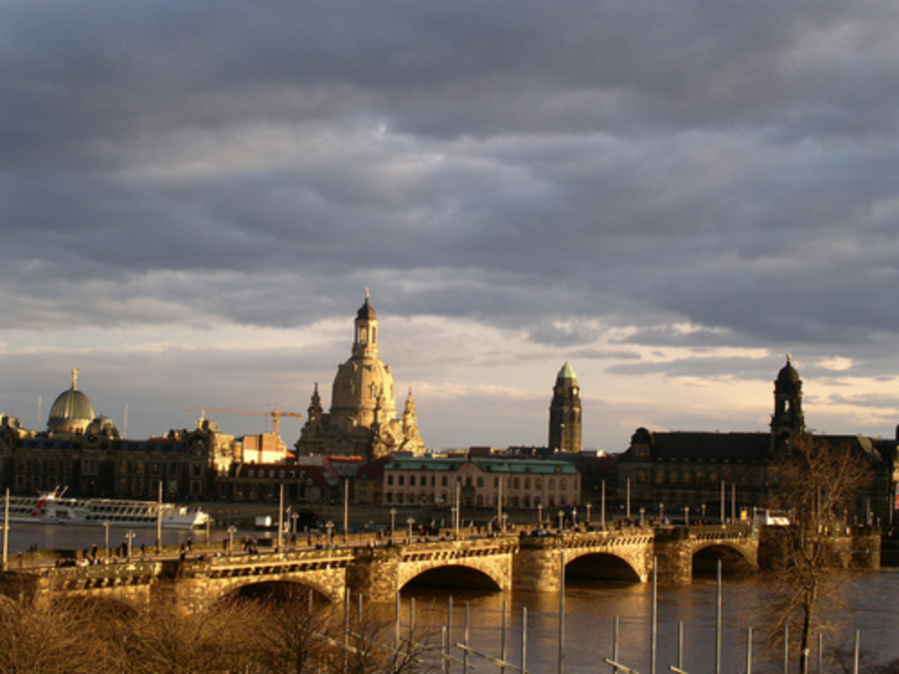 Dresden Altstadt фото Akelei