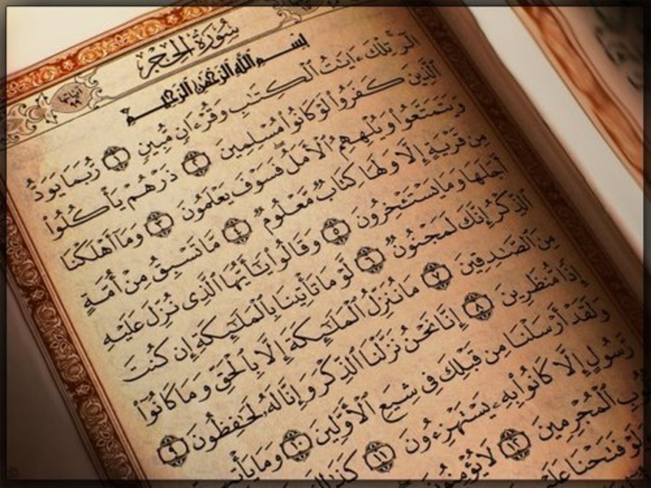 фото madrasah2.ru