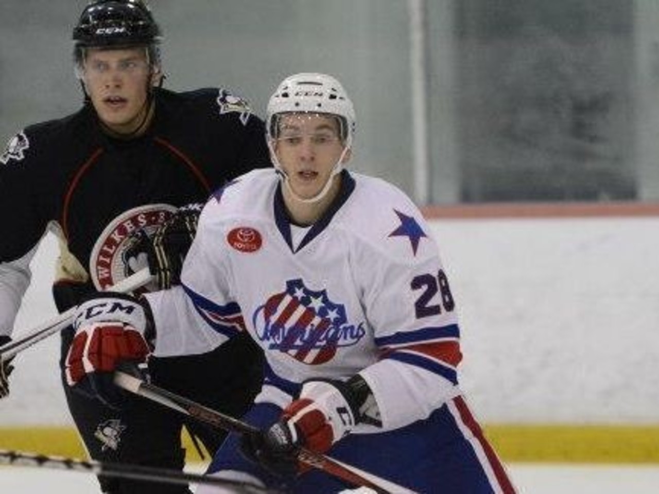 foto Rochester Americans