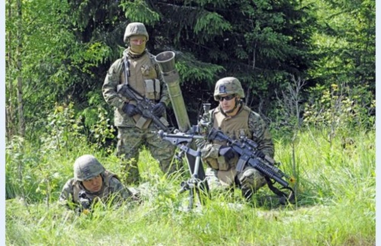 foto armyrecognition.com