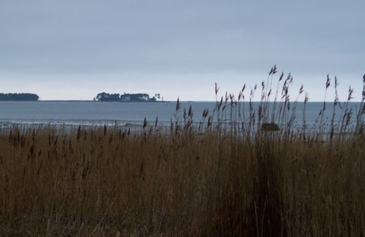 фото Siim Lõvi