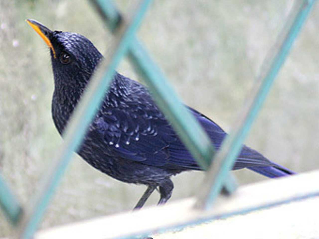 Фото J.M.Garg