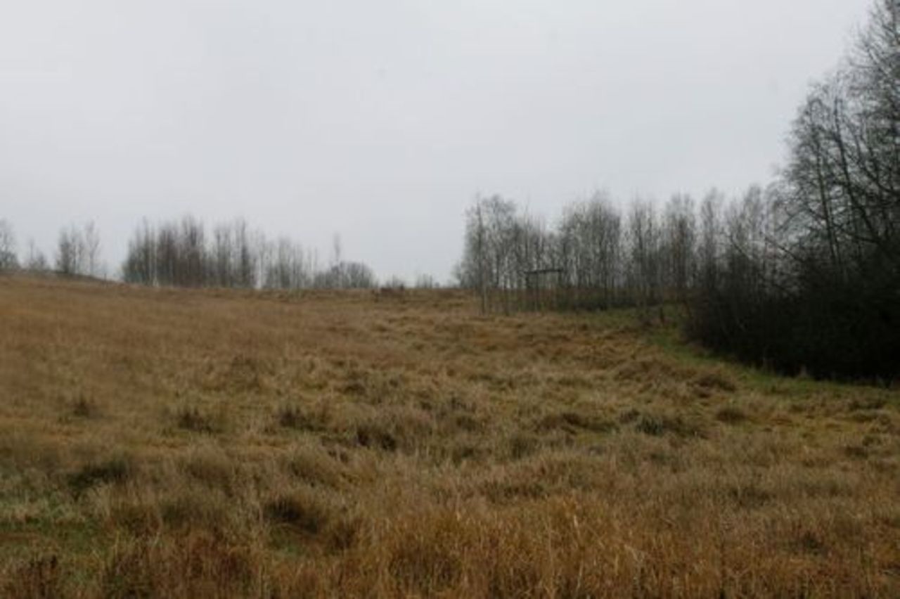 foto lvportals.lv
