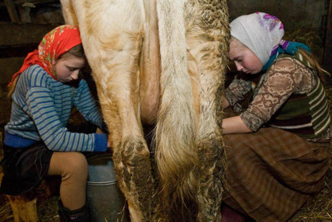 фото noviny.narod.ru
