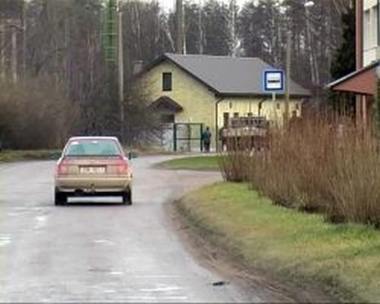 foto livani.lv