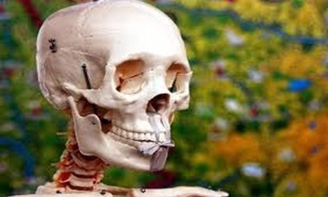 foto ihaelth.com