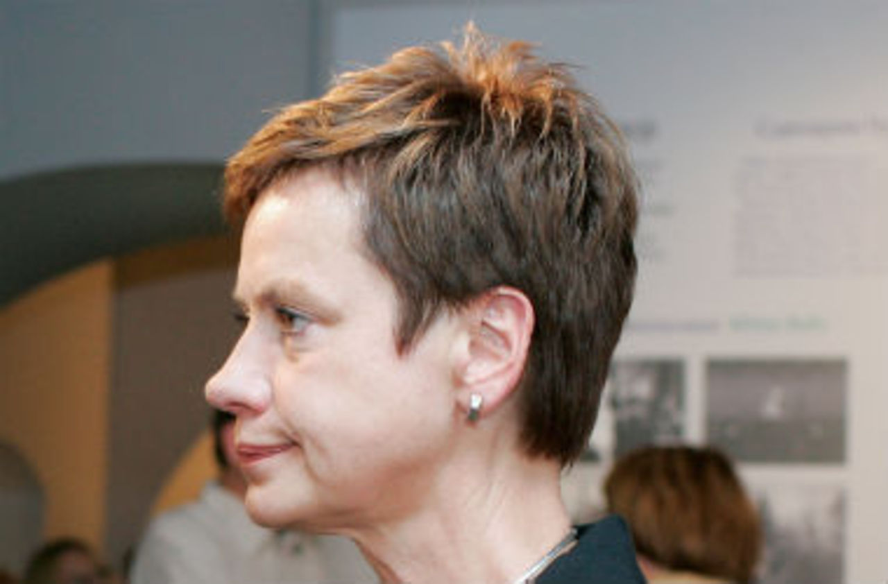 foto pietiek.com
