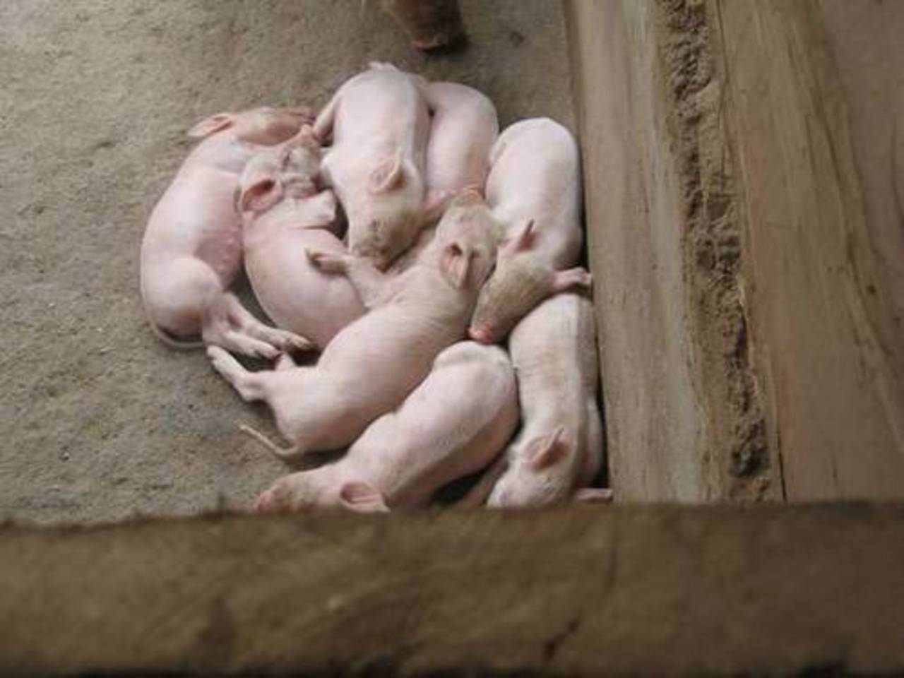 foto mityanacharity.org