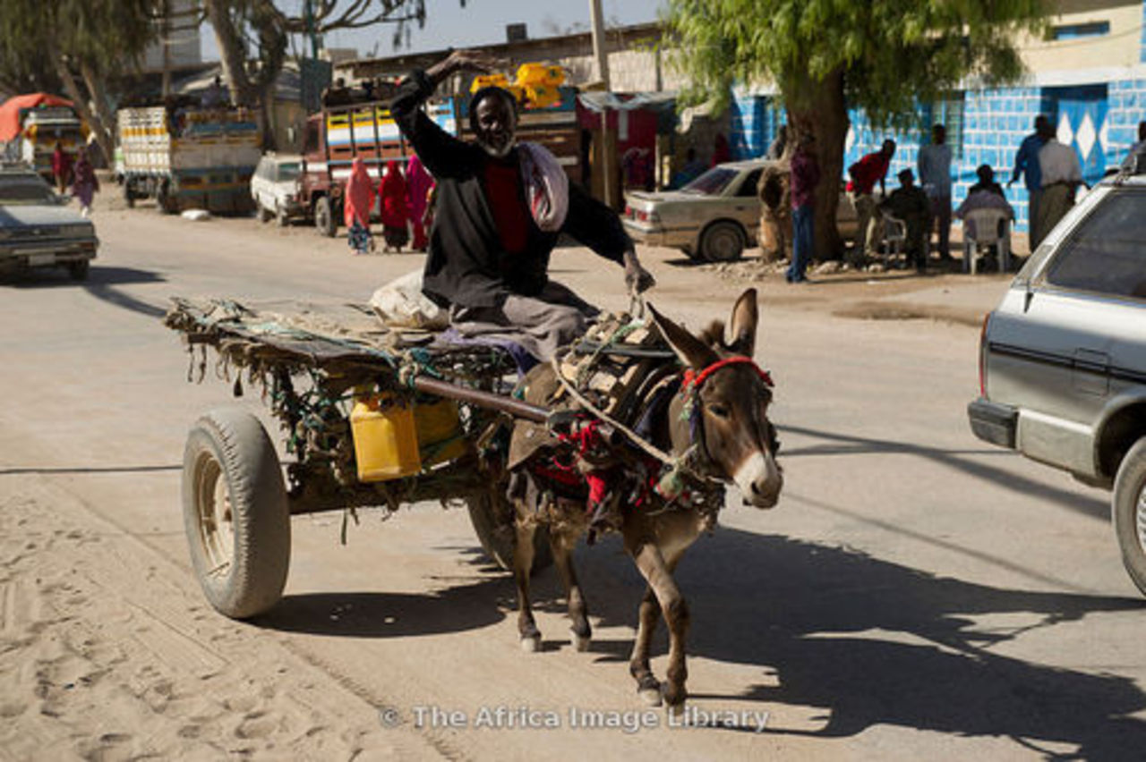 foto africaimagelibrary.com