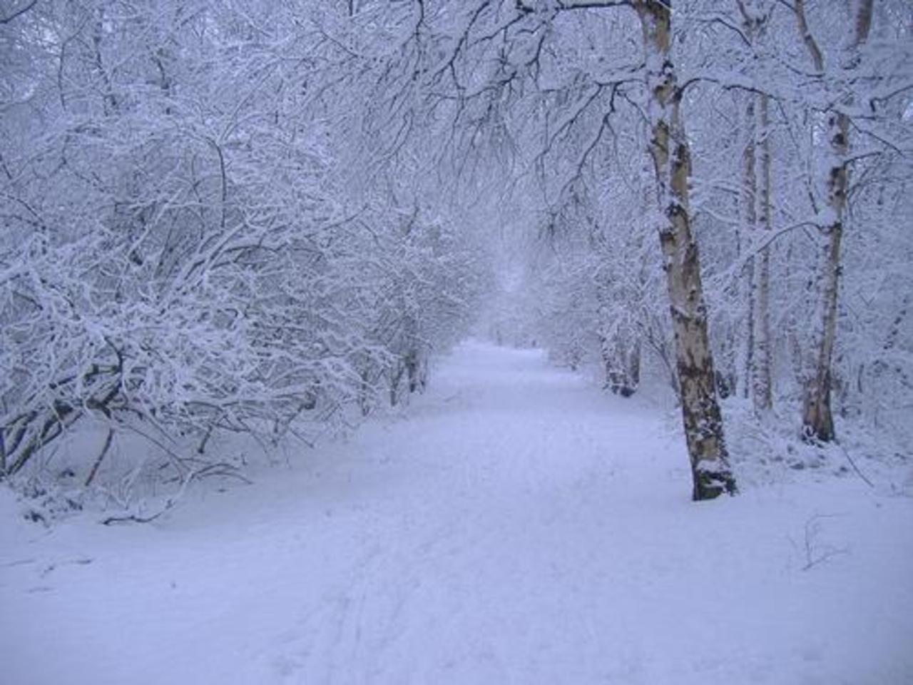 foto maestronews.com