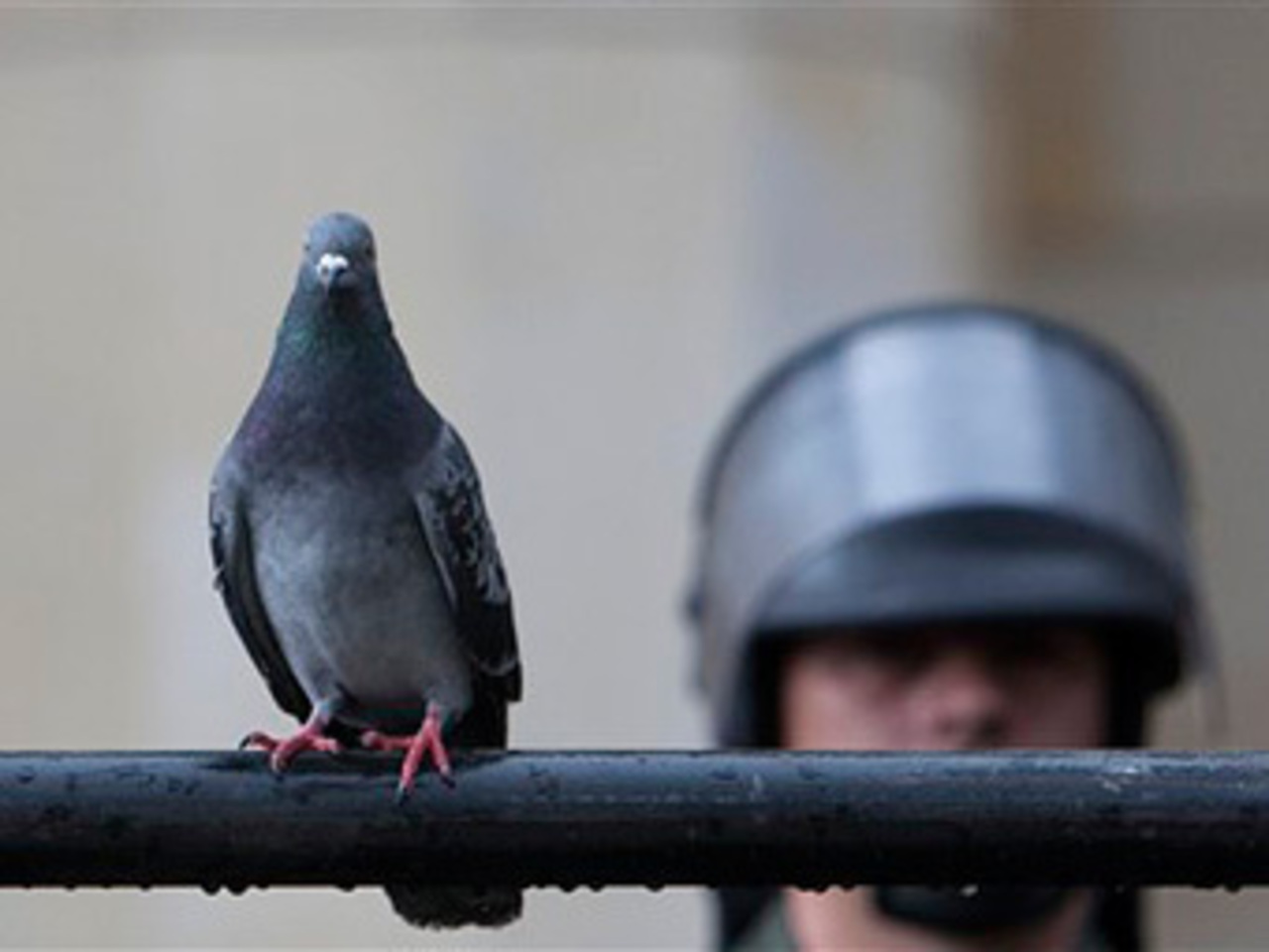фото lenta.ru