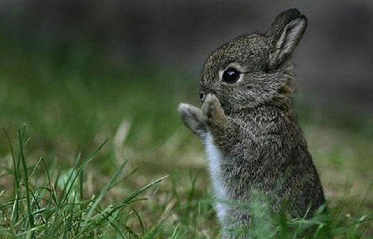 фото с сайта img1.liveinternet.ru