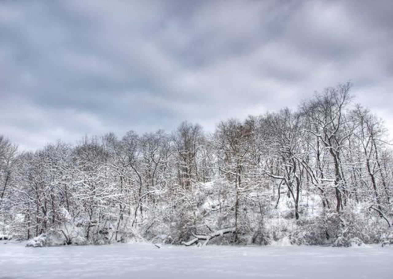 foto centralpark.com