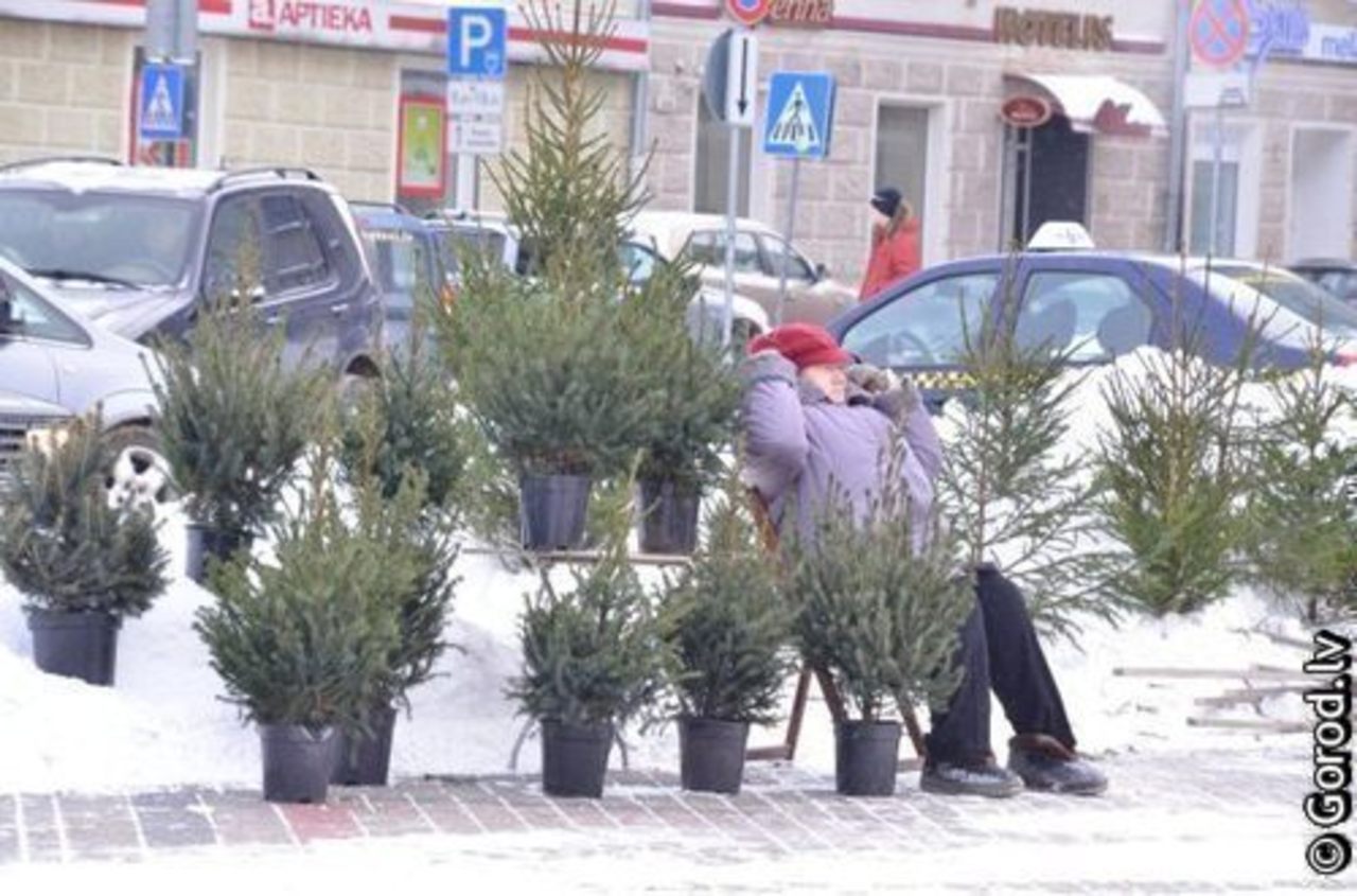 foto gorod.lv