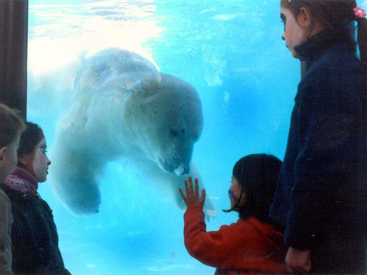 фото с zoobuenosaires.com.ar