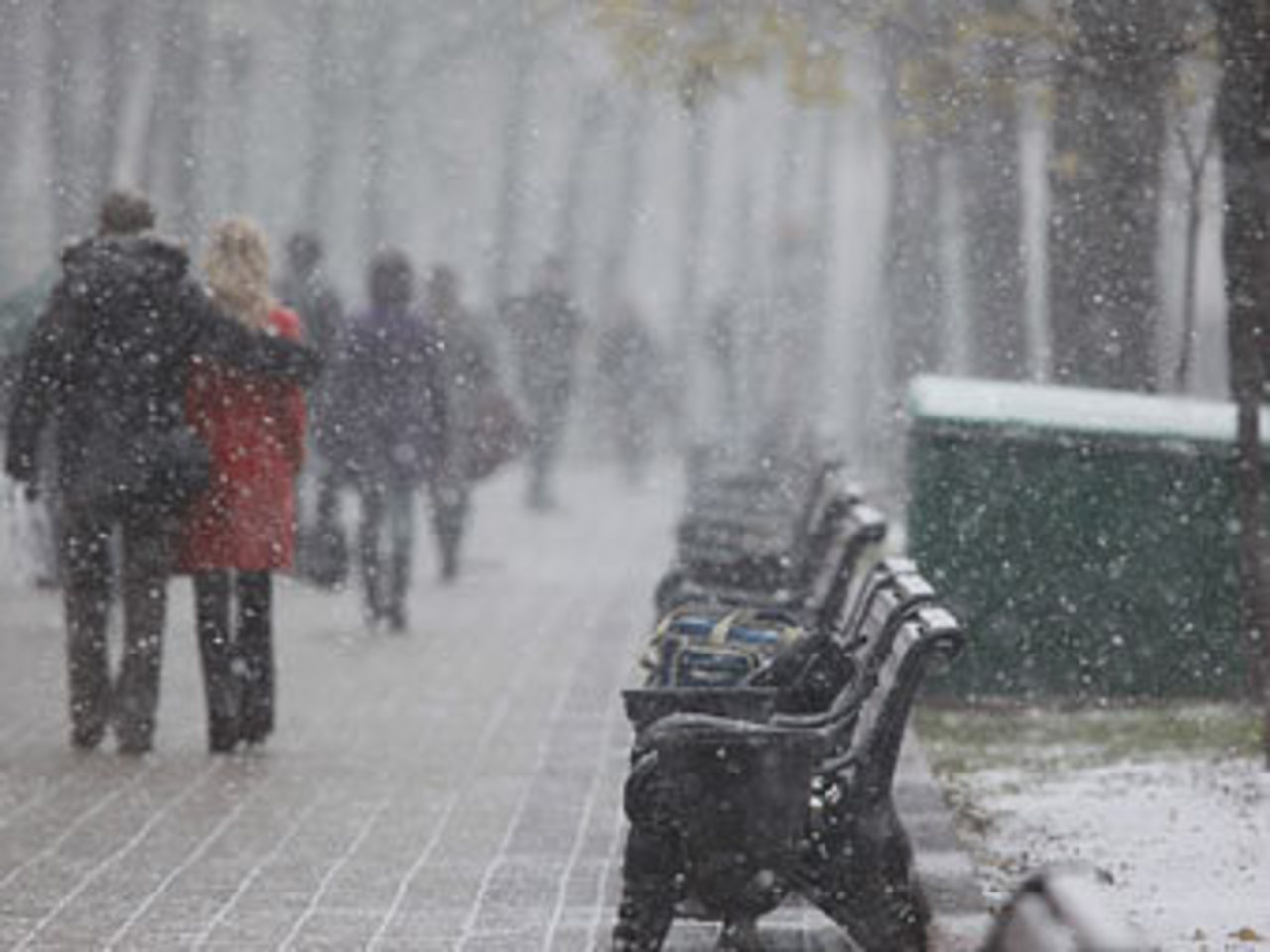 фото lenta.ru