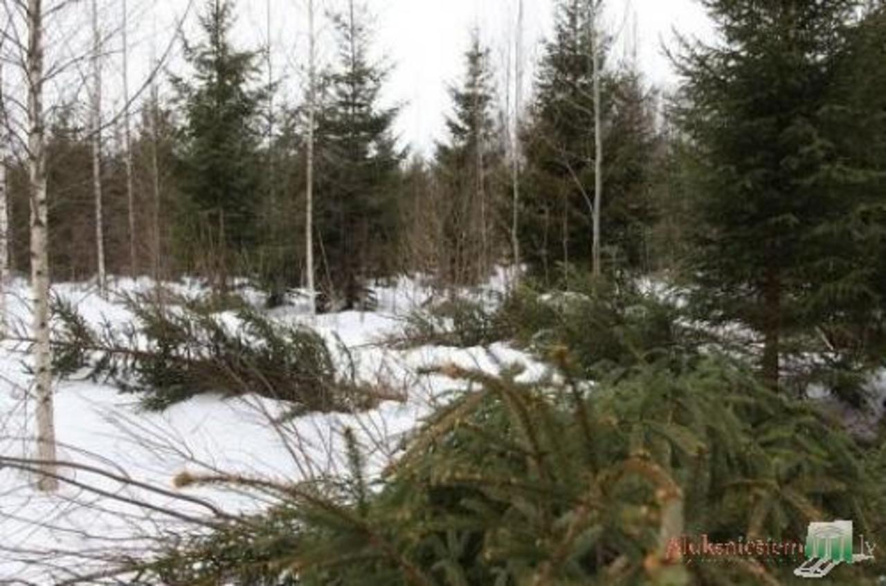 foto aluksniesiem.lv