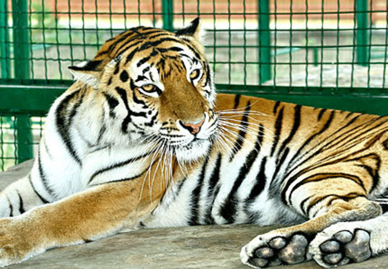 фото azovzoo.com