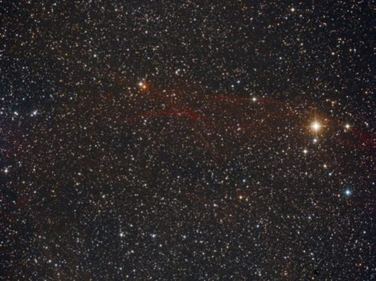 foto newforestobservatory.com