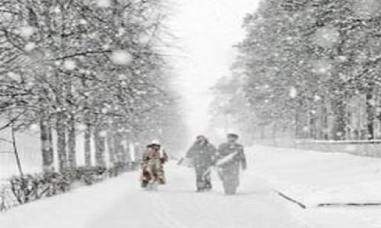foto tltnews.ru