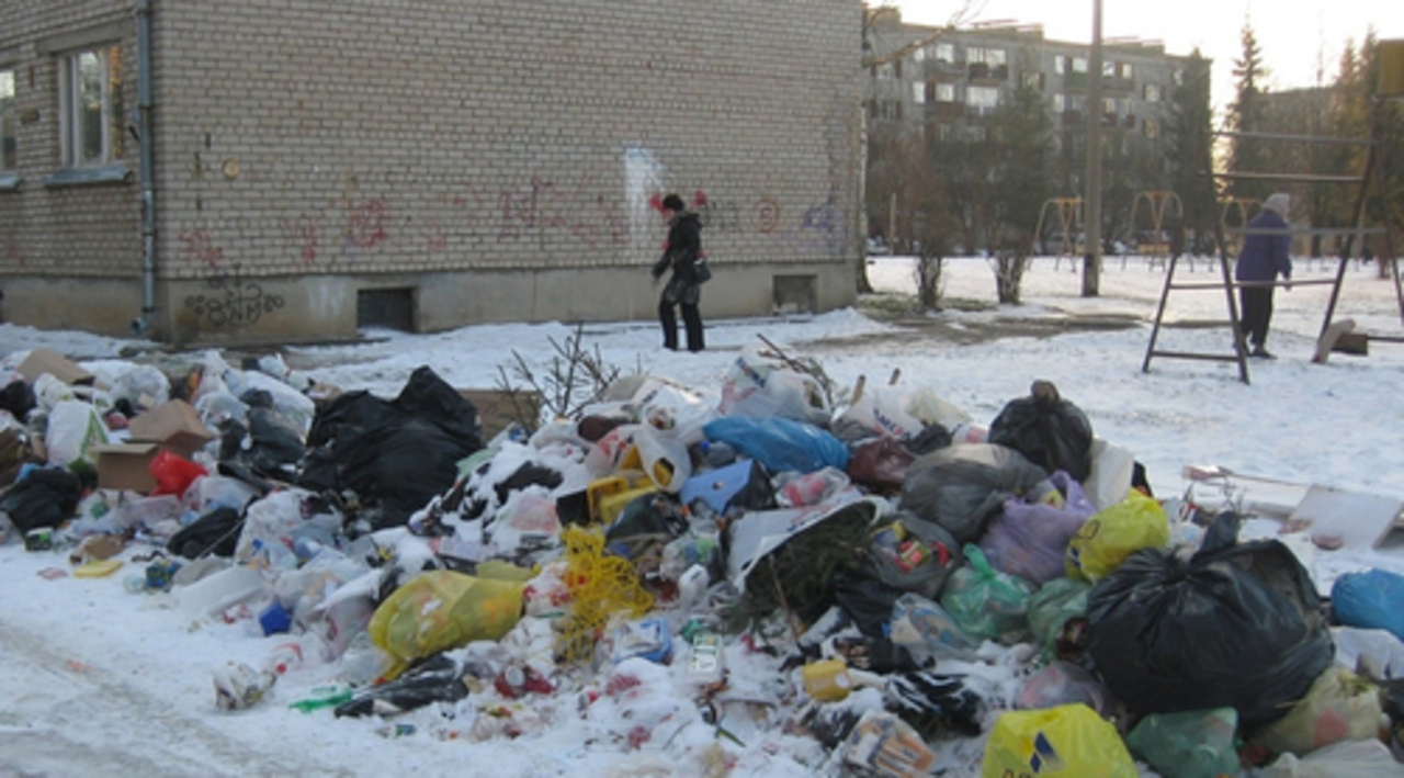 фото Ольги Гришиной