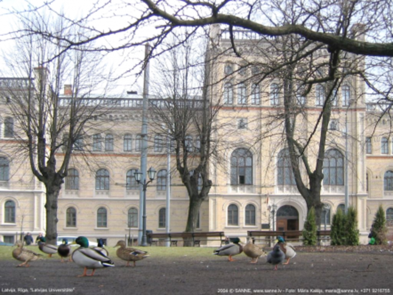 фото с сайта puaro.lv