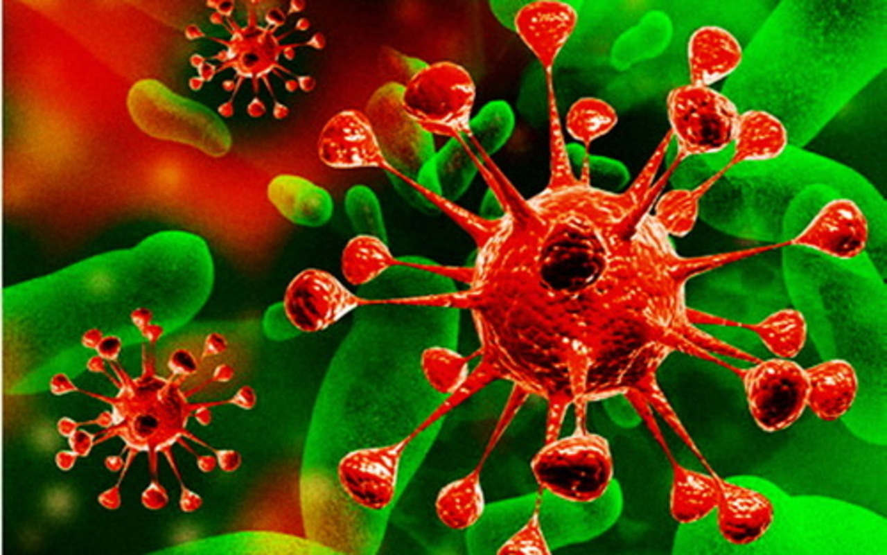 фото: epidemiolog.ru