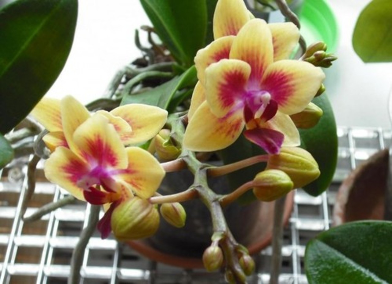 фото: wallpaperscraft.ru