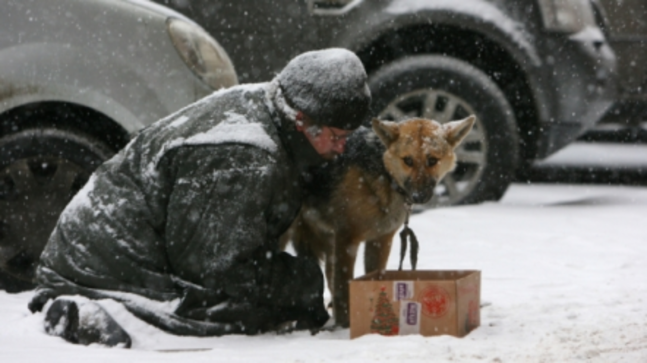 фото: mixnews.lv