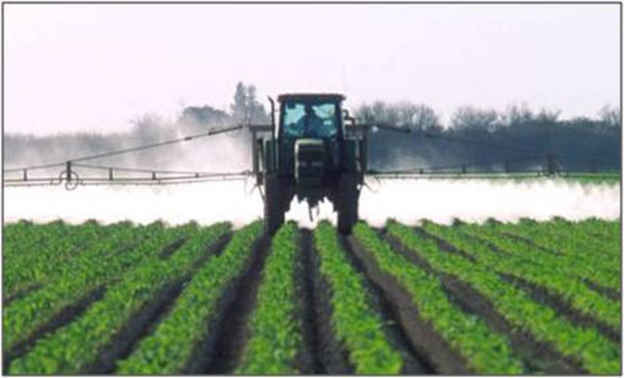 foto: pesticides.net.ua