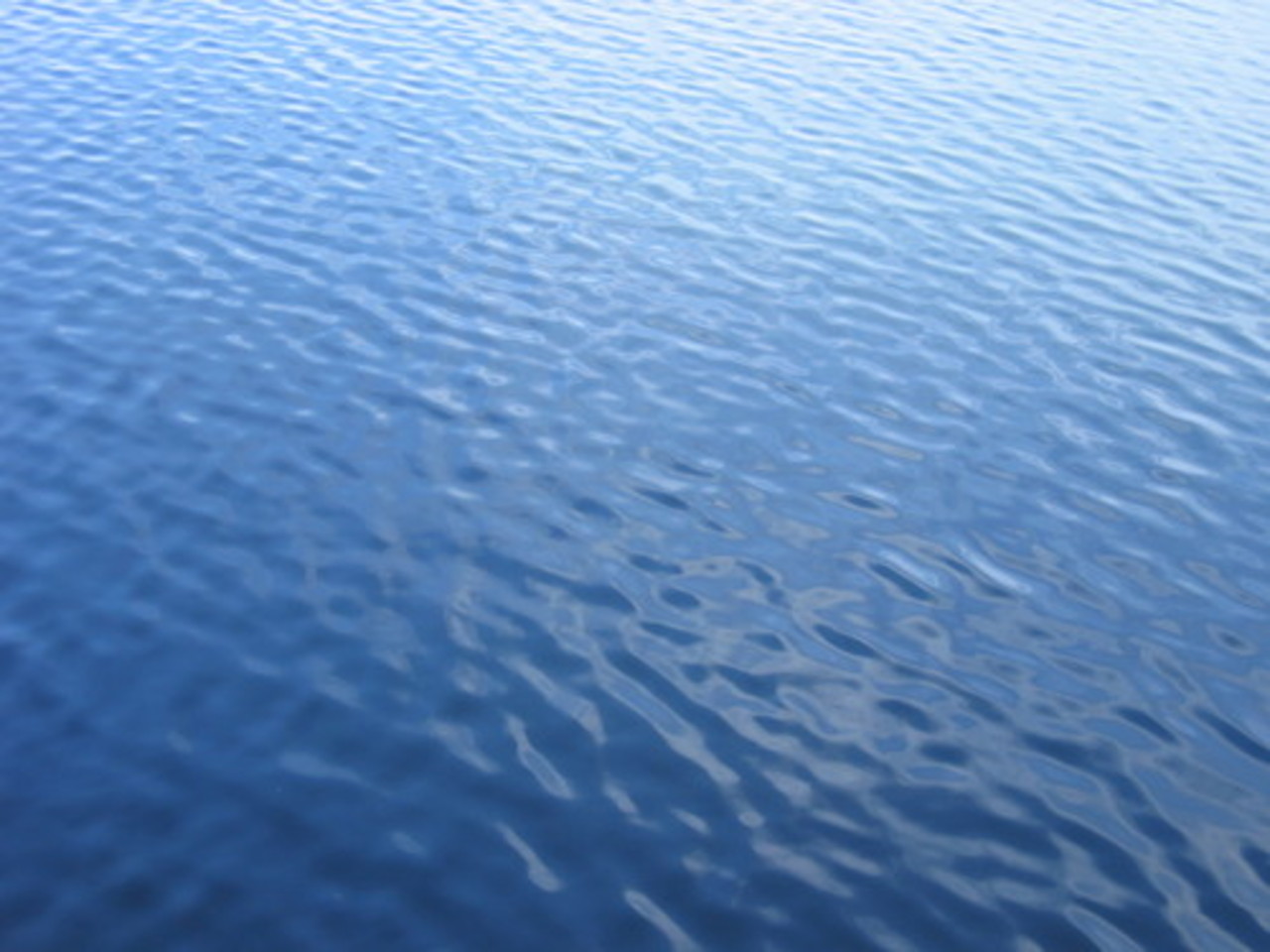 foto: blog.midwestlakes.org