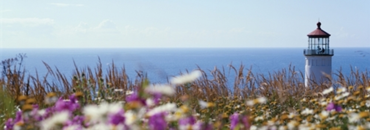 фото: forumvirium.fi
