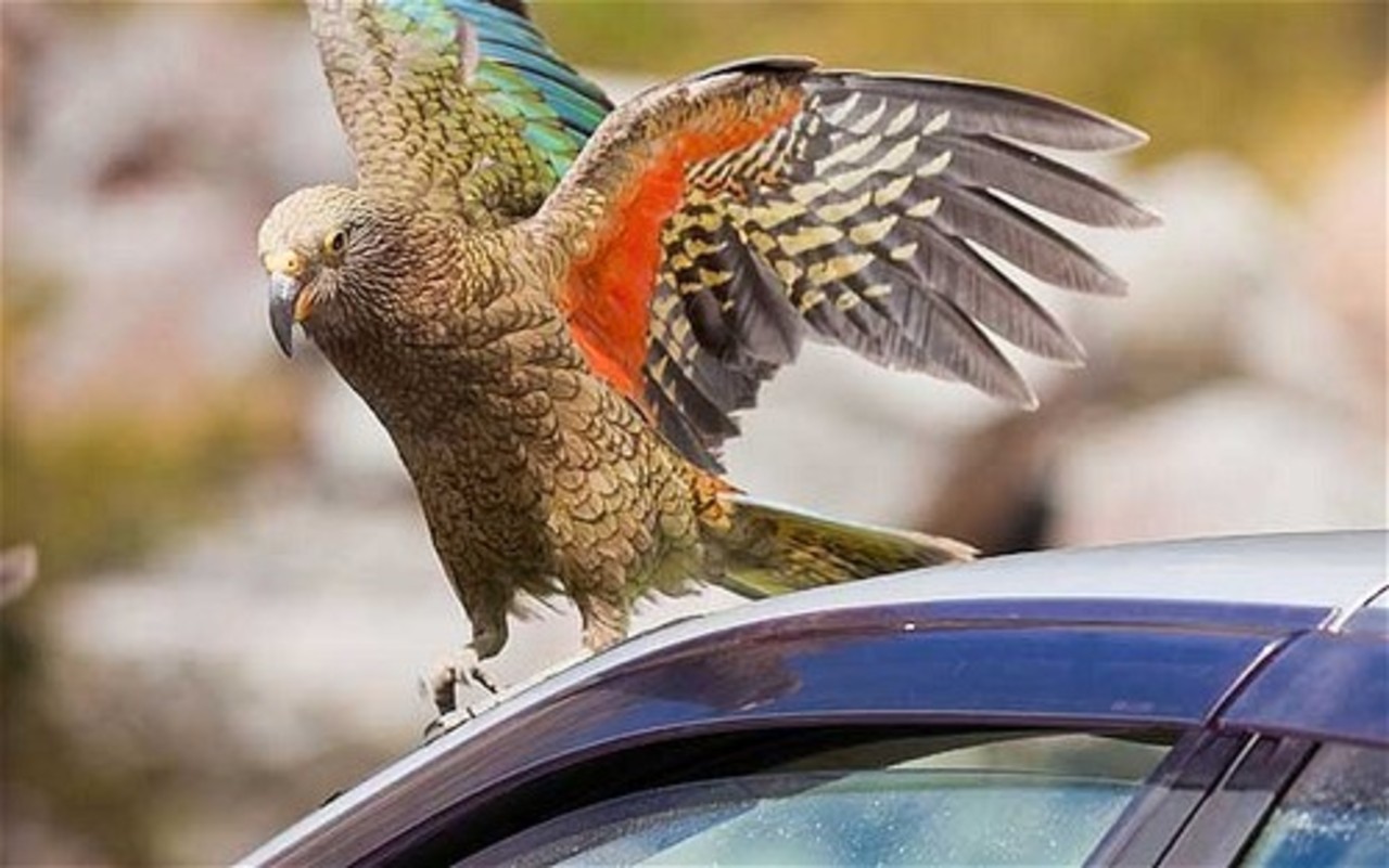 фото: turistua.com