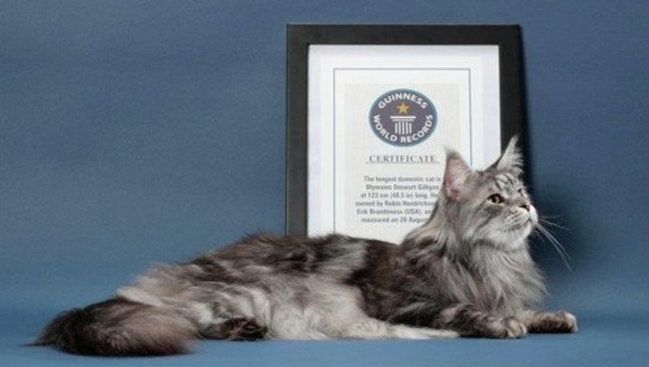 foto: ria.ru