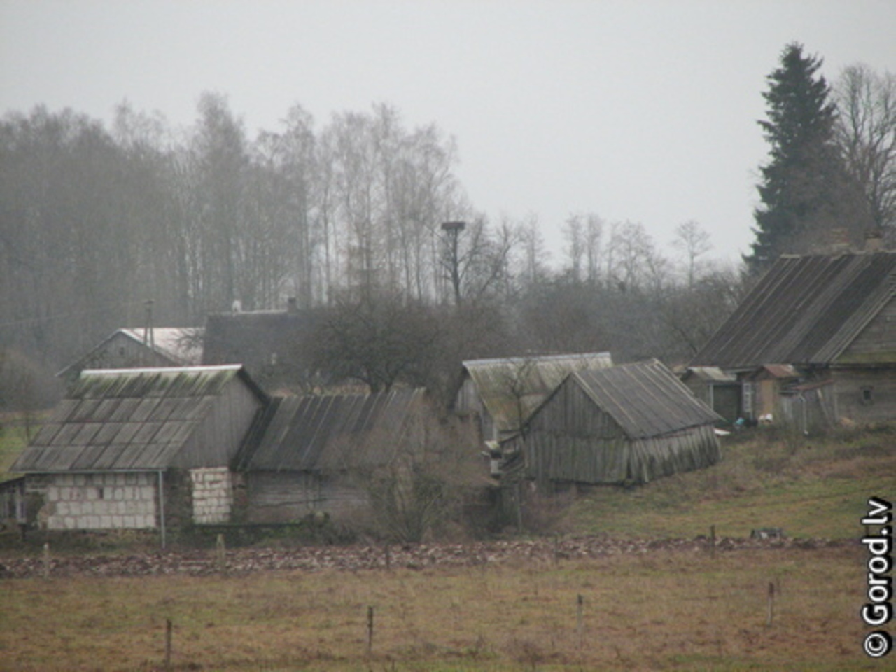 фото: gorod.lv