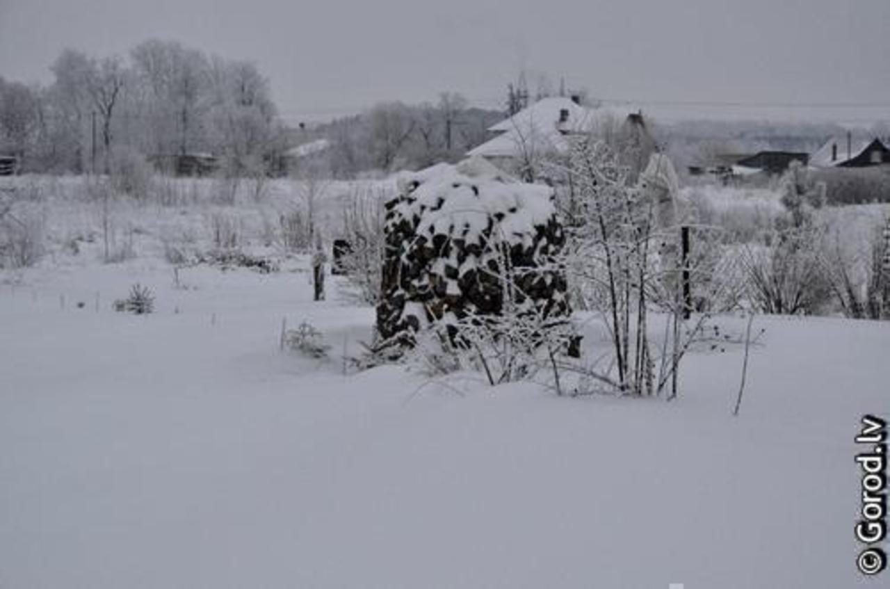 фото: gorod.lv