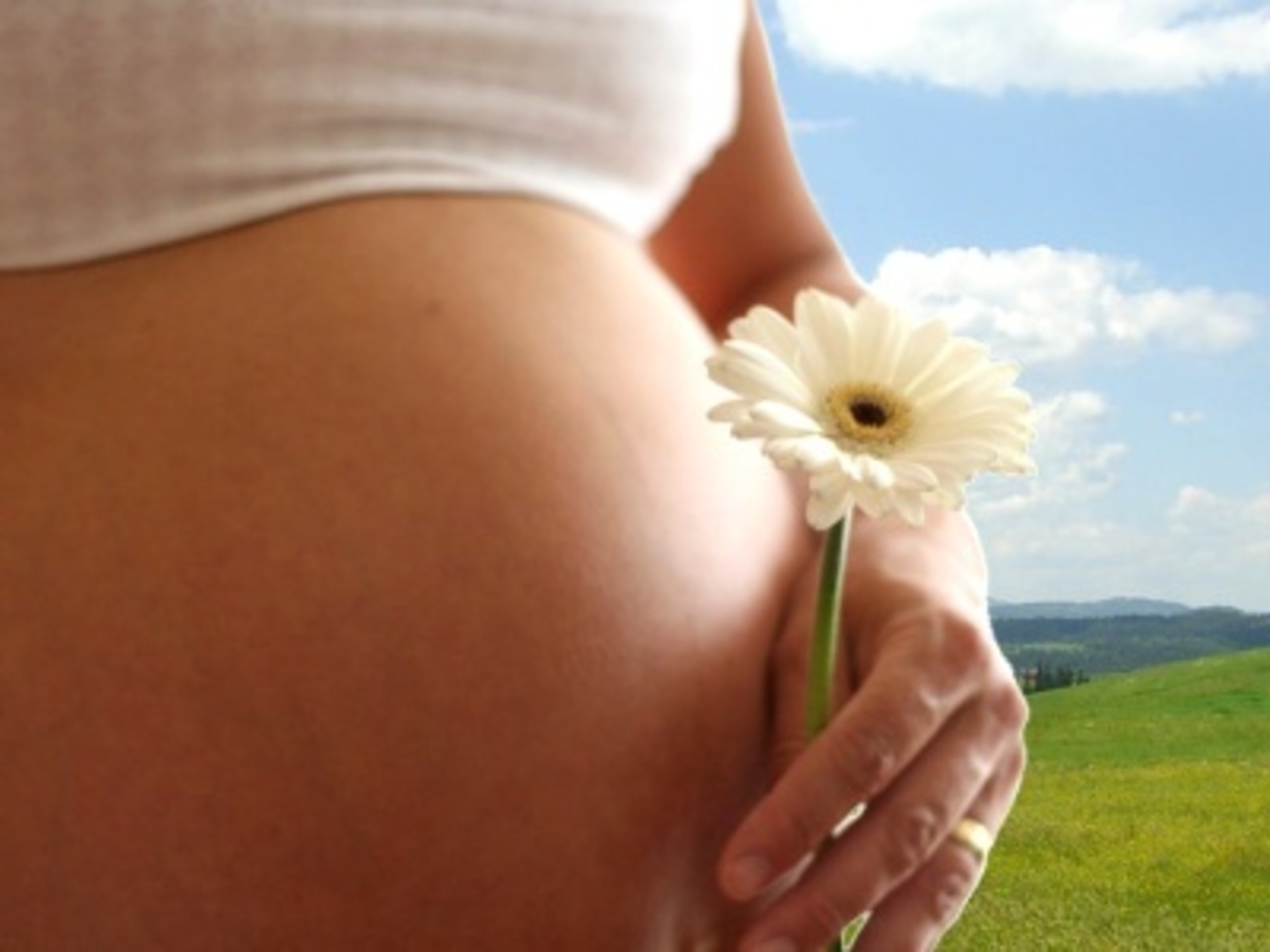 foto: ilania.ru