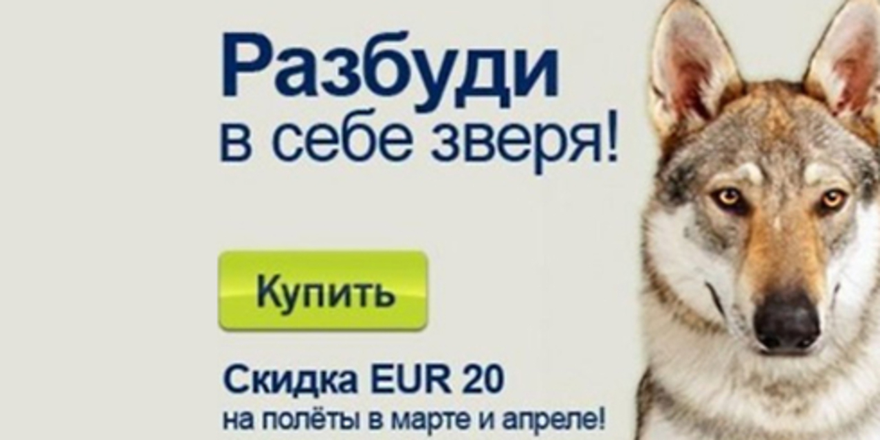скриншот предложения