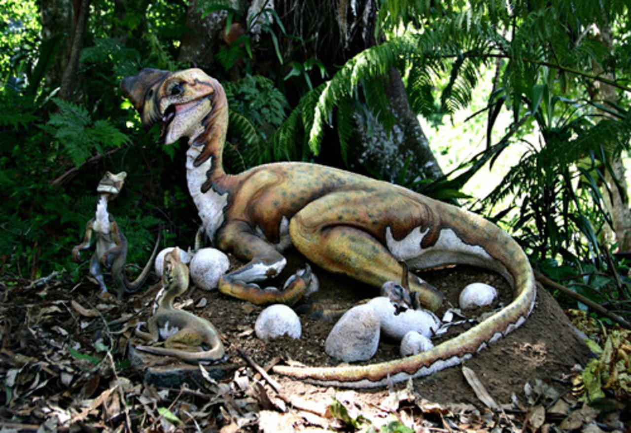 foto: dinocasts.com