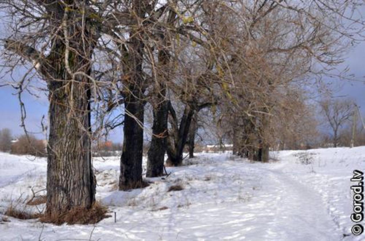 foto: lat.gorod.lv