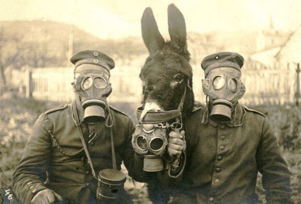 vēstures foto