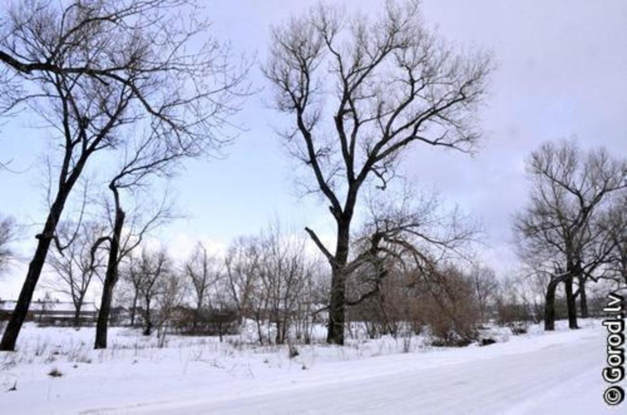 foto: lat.gorod.lv